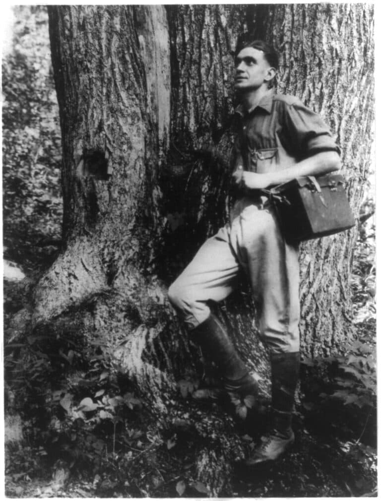 William A. Barnhill William A. Barnhill